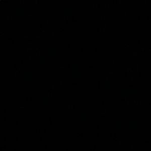 Meet your Posher, Bella